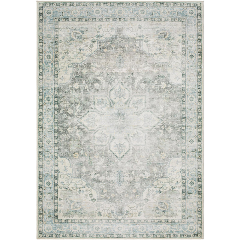 Lympsham Washable Oriental Indoor Rug, Rectangle 2'7" x 4'
