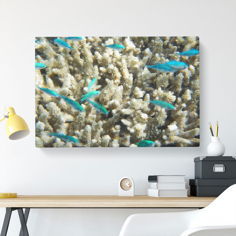 Coral Reef And Blue Fish - Wrapped Canvas, 40cm H x 60cm W x 3cm D