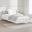 Brotherhood Bed-1725702480-1722525216