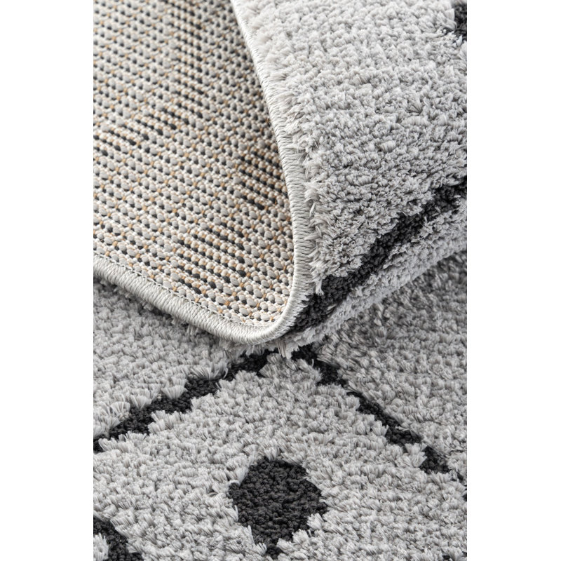 Abundio Machine Made Indoor / Outdoor Area Rug, Runner 3'11" x 9'10"
