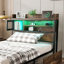 Storage Bed-1391353082