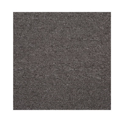 20'' W x 20'' L Level Loop Peel & Stick Polypropylene Carpet Tile
