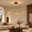 1 - Light Chandelier