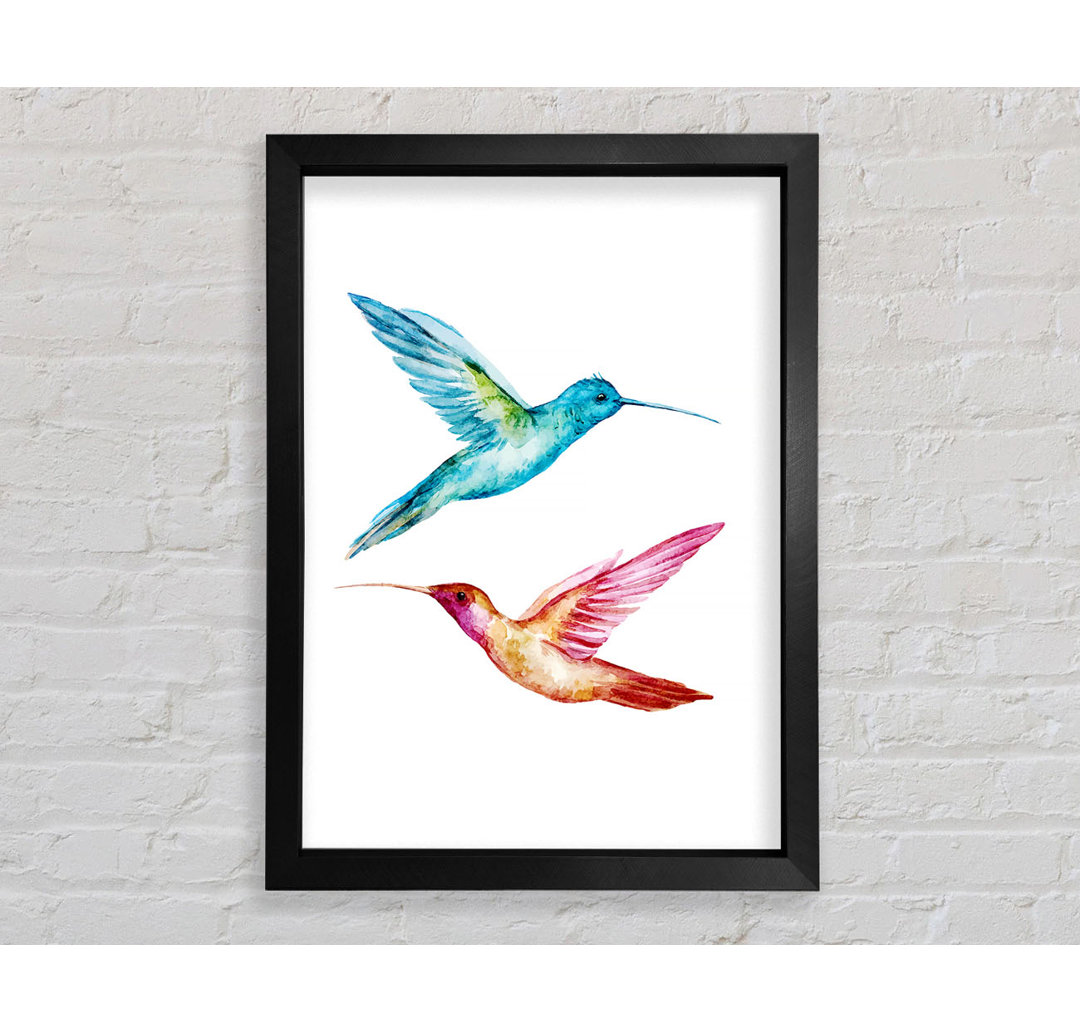 Aleta Hummingbird Duo Gerahmter Druck Wandkunst