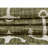 Outdoor Ayton Area Rug Green Color-71271147