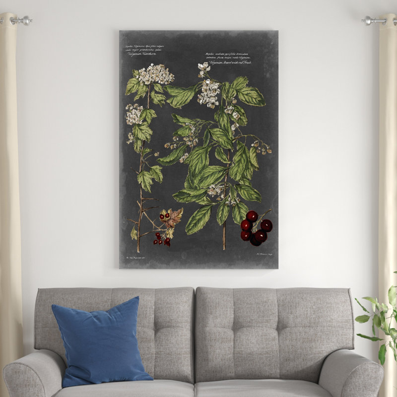 Tableau botanique rétro VI, H 48 po x l 32 po x P 1,25 po