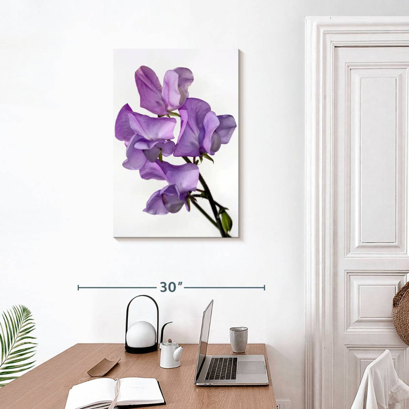 Fleurs de pois Harnek, H 30 po x l 20 po