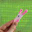 Plastic Clothes Pin