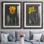 «Midnight Tulip», reproduction encadrée prémium-944445456-944445459-944282701