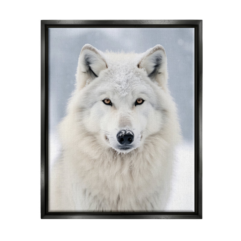 «White Wolf In Snow», reproduction encadrée sur toile par Ray Powers, H 31 po x l 25 po x P 1,7 po