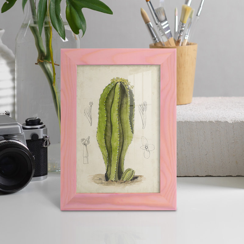 " Antique Cactus VI ", Pink, 8" H x 6" W x 1" D