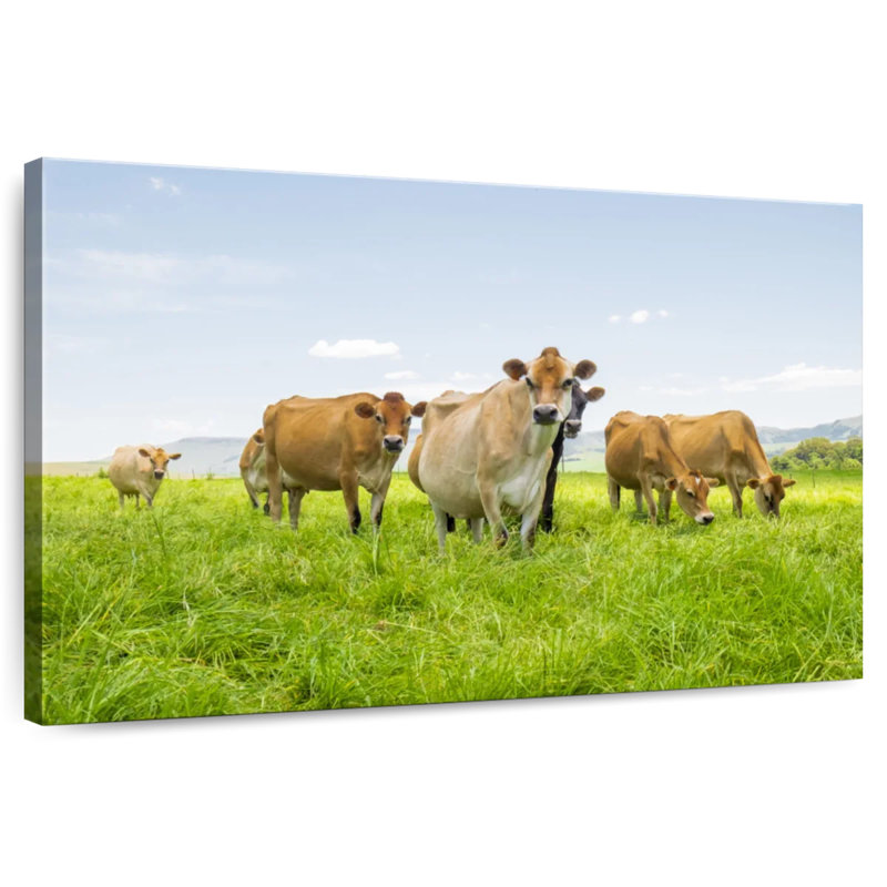 Bétail de ferme, H 24 po x l 36 po