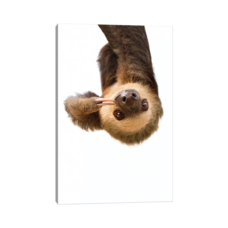 Sloth by Sisi & Seb - Wrapped Canvas Print, 101.6 cm H x 66.04 cm W x 1.91 cm D