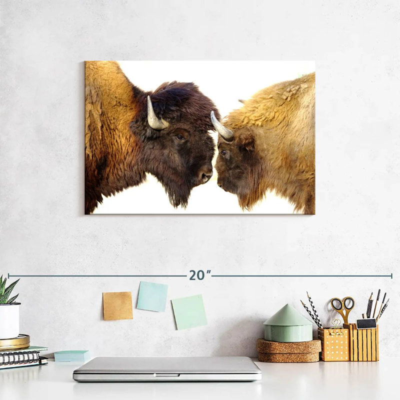 Brampt Bisons I, 8" H x 12" W
