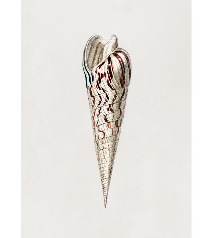 Wrapped Canvas Print, 76.2 cm H x 50.8 cm W