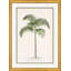 Palms 1 Framed Graphic Art