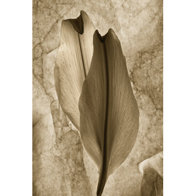 Intentions by Leonard Morris - Wrapped Canvas Painting