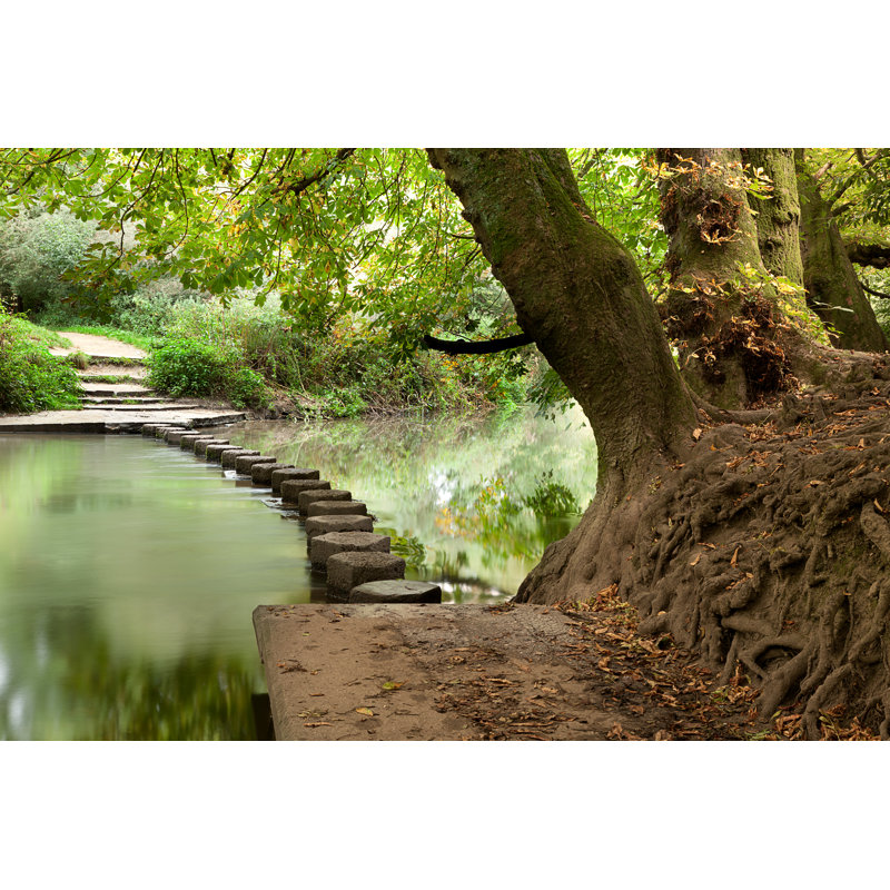 Woodland Stepping Stones - Wrapped Canvas Print, 20cm H x 30cm W x 3.8cm D