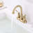 Centerset 2-handle Bathroom Faucet with Drain Assembly-80014458
