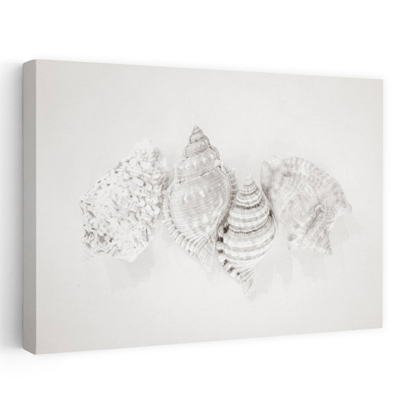 Art côtier rétro avec coquilles de muscade, H 16 po x l 24 po