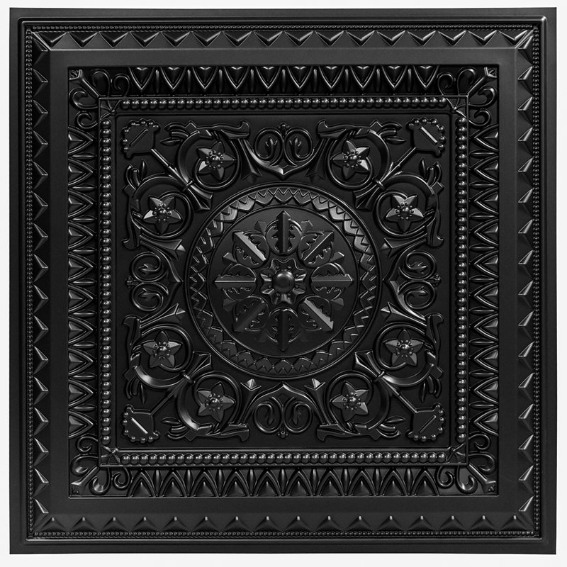 2 pi X 2 pi Carreau de plafond en PVC à coller, carreau de plafond imperméable (48 pieds carrés / caisse), Noir