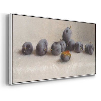 Botanical Series-CDXLVIII- Framed Gallery Wrapped Canvas -Ready to Hang