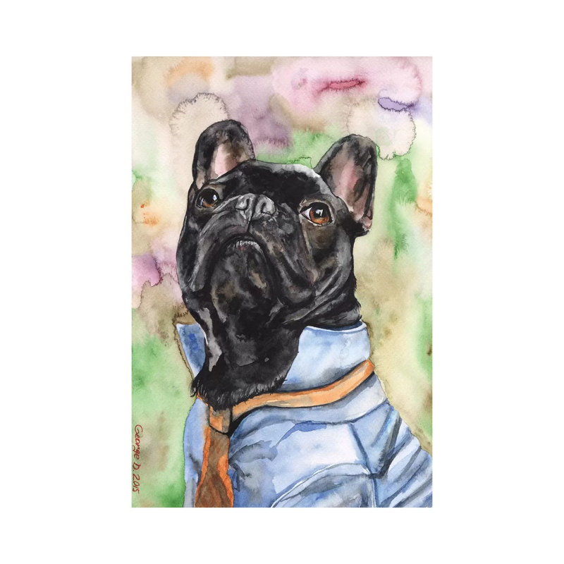 Fancy French Bulldog by George Dyachenko - Wrapped Canvas Print, 20.32 cm H x 30.48 cm W