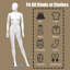 Symple Stuff Ahmauri Dress Form