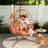 2 Person Hanging Egg Chair With Stand, Double Outdoor Wicker Swing Chair With Adjustable Footrest & Thickened Cushions For Patio Garden Balcony-129226534-129226533
