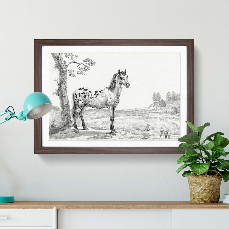 Mottled Horse by Jean Bernard - Picture Frame Drawing Print, 27cm H x 36cm W x 2cm D, Walnut Framed