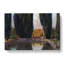 Cypresses by Pierre-Joseph Redoute - Wrapped Canvas-55342699