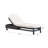 Everlee Outdoor Metal Chaise Lounge with Cushions-1749152820