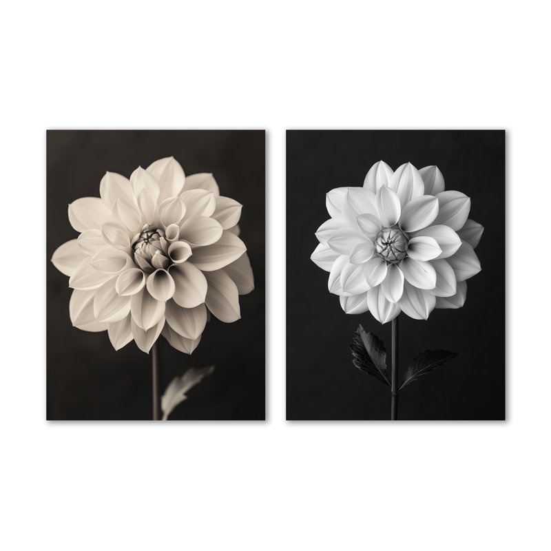 Dahlia gris et charme romantique III - Nature, impression murale en métal 2 pièces, H 32 po x l 48 po