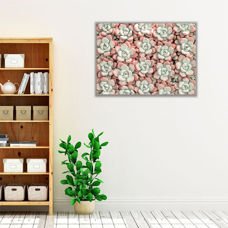 Succulents Plant - Canvas Print Wall Art, 18" H x 24" W
