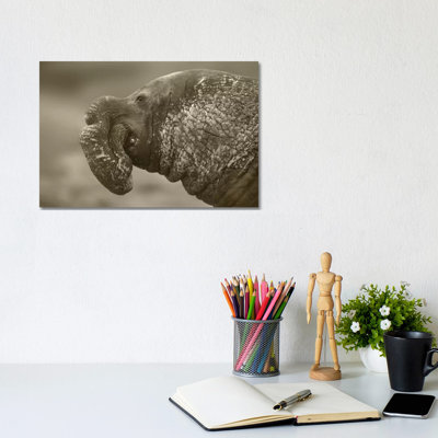 Northern Elephant Seal Male, Piedras Blancas, California by Tim Fitzharris - Wrapped Canvas Gallery-Wrapped Canvas Giclée