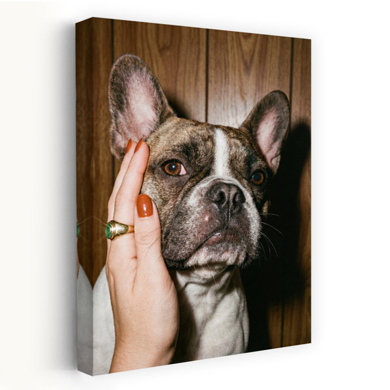 Art rétro, caresser un bouledogue français rétro, H 24 po x l 16 po, Beige/brun