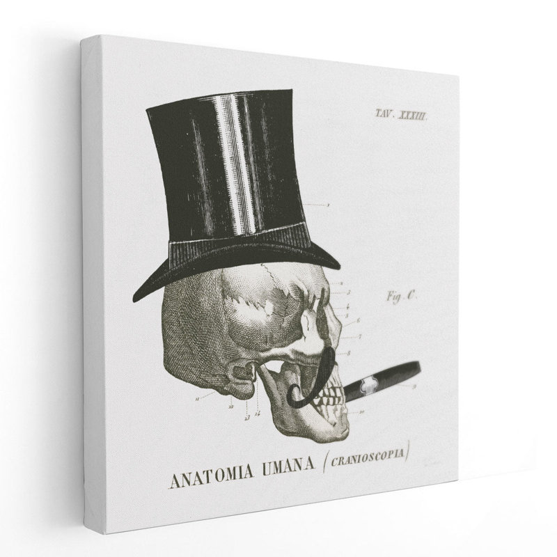 «Dandy Bones III Black and White», reproduction d'art sur toile, H 20 po x l 20 po