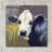 " Moo " by Rita Kirkman-872264793