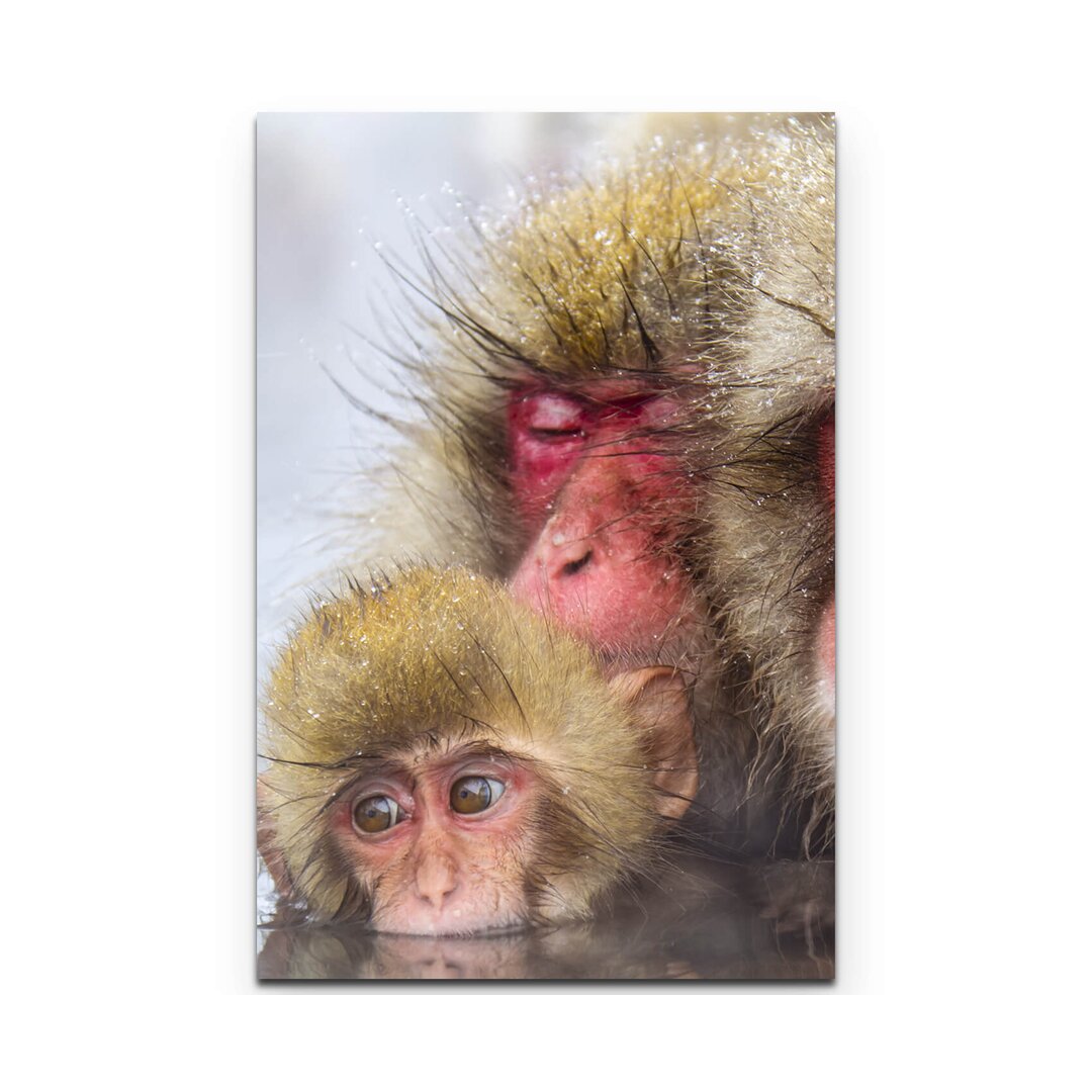 Leinwandbild Snow Monkeys