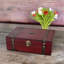 Accessory Box +