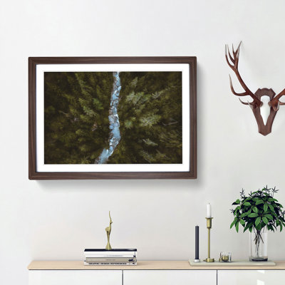Forest Stream in Switzerland - Picture Frame Graphic Art Print