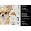 Serviette de cuisine fauve Chihuahua-1234934714
