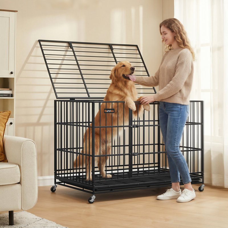  Cage pour chien pliable à montage rapide en 5 minutes avec portes doubles et plateau amovible
