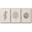 Shore Treasure Study I 3 pièces-97711698-97711700