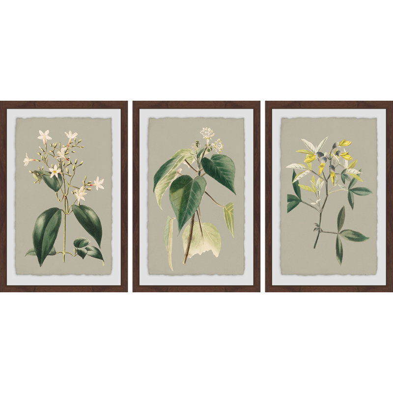 Tiny Blooms Triptych - ensemble de 3 reproductions d'art graphique, H 30 po x l 20 po x L 1,5 po
