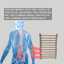 Dossier de pruche pour sauna