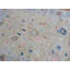 Tapis Ianthia