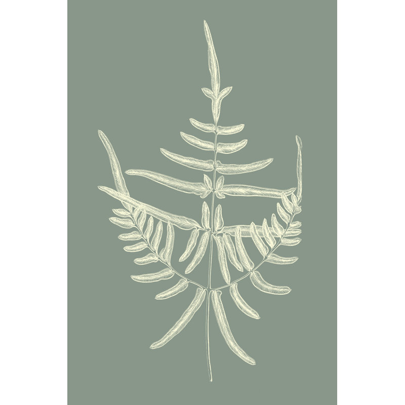 «Ferns on Sage I», peinture sur toile, H 48 po x l 32 po