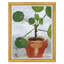 Money Plant I & II Set by Dana Gibson Soicher Marin