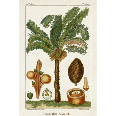 Turpin Exotic Palms VII by Turpin - Wrapped Canvas Art Prints